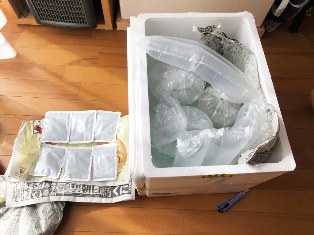 ネットで海水魚を購入　梱包状態3
