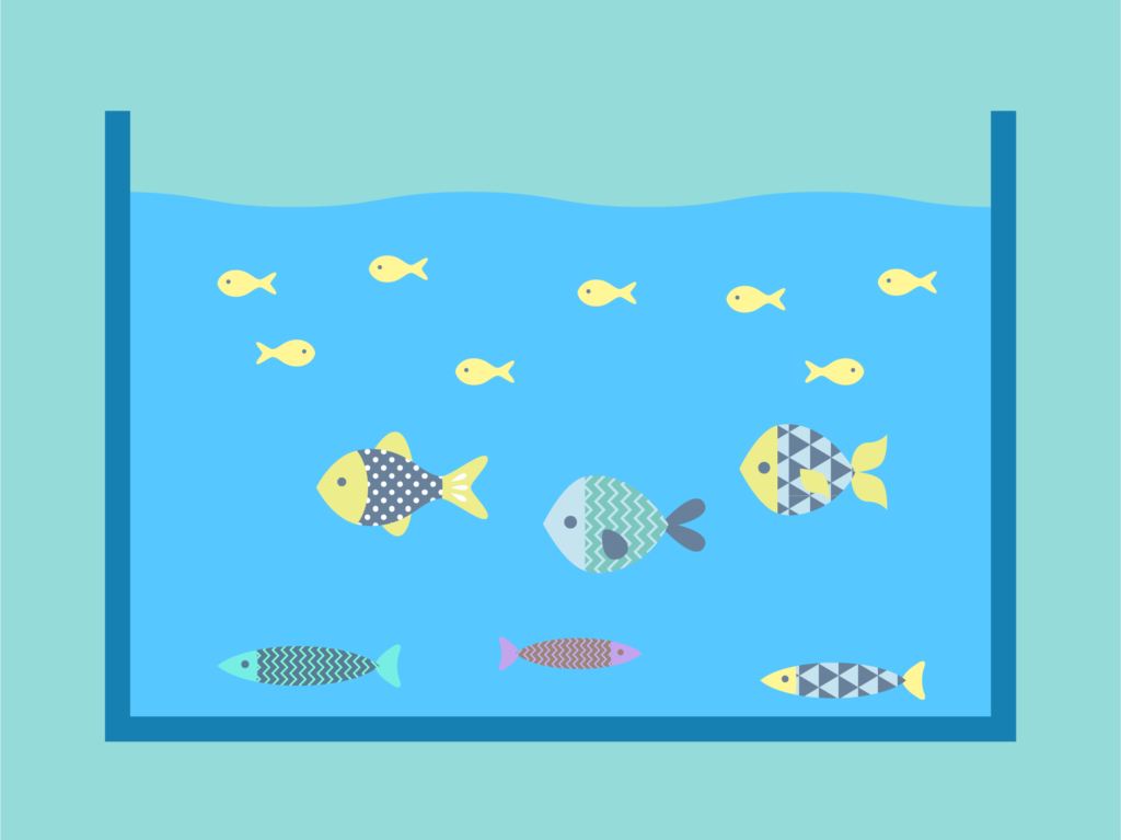 混泳水槽を成功させるコツ4