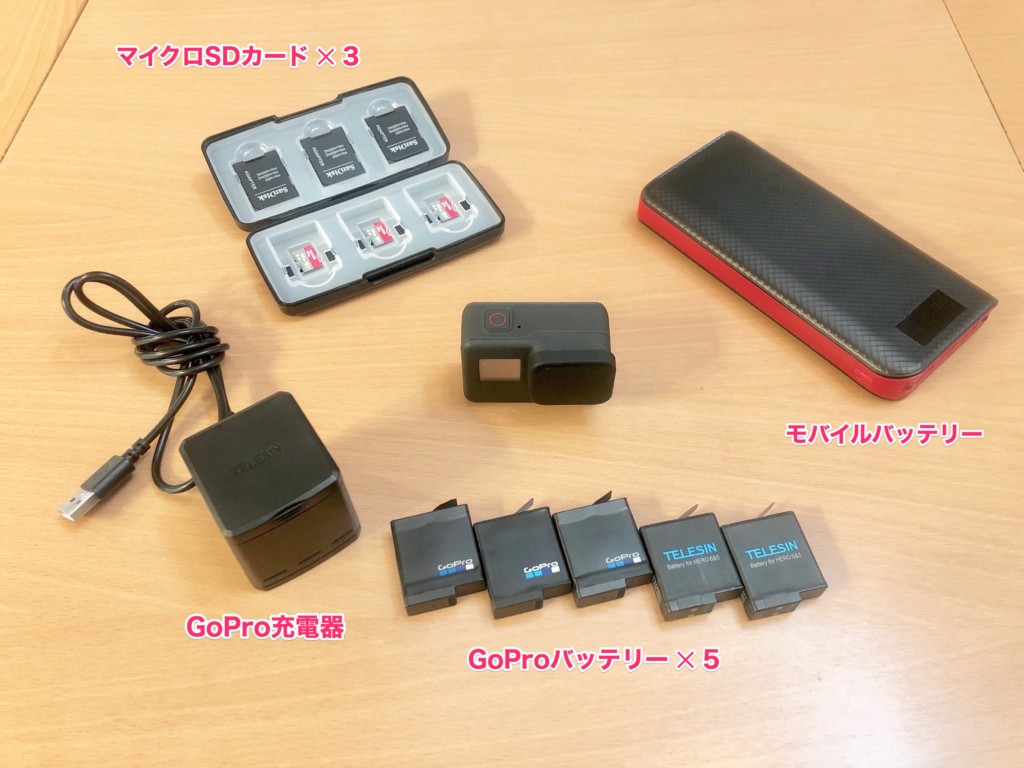 旅行にこれだけ必要！GoPro HERO7の予備のバッテリーとSDカード 