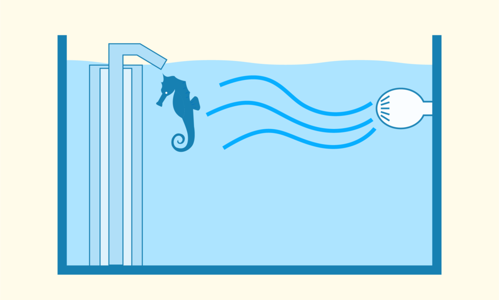 海水魚飼育の失敗例-4 オーバーフロー引っかかり事故