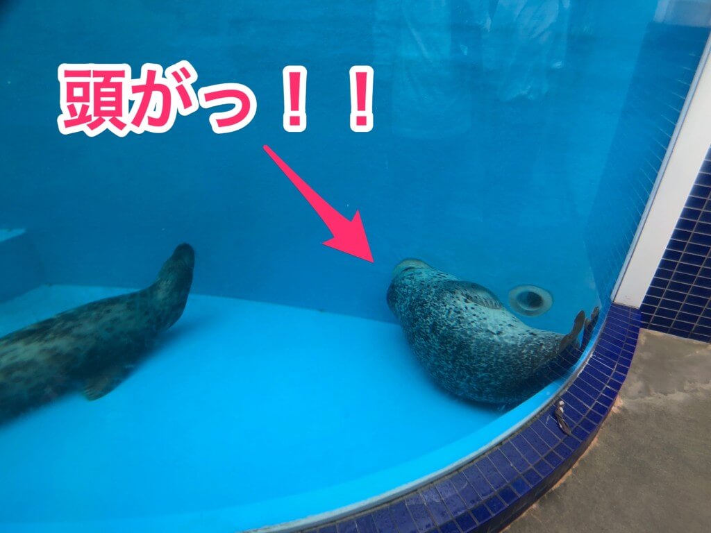 鳥羽水族館は全部が見どころ 朝一番からの入場がおすすめ Tomorrow Llife トゥモローライフ