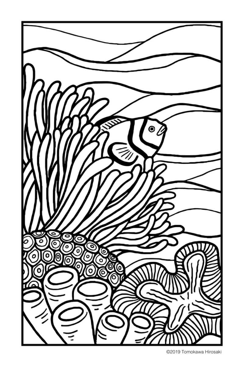 いいぞadobe Fresco 海水魚のイラストを線画で描いてみた Tomorrow Llife トゥモローライフ